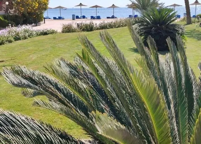 Cecilia Hurghada